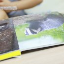 거꾸로 본 안경세상 이미지