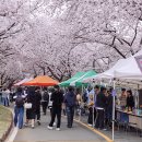 낭만사진관 이미지