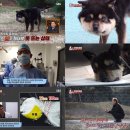 깜순이농장 이미지