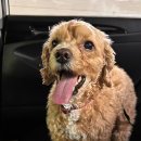 구구네미용실 이미지