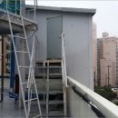 화니핀헤어 이미지