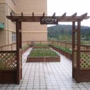 상원초등학교 이미지