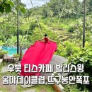 우붓 티스카페 발리스윙 아이랑 &amp; 옴마데이클럽 수영장