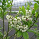 인석농장 이미지