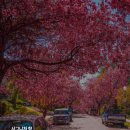 공간향기
