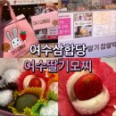 여수딸기모찌 이순신광장맛집 여수여행필수코스 여수딸기모찌 삼합빵 삼합당 본점 픽업 후기