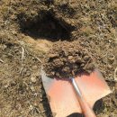 토양검정실 | 토양검정, 시비처방을 위한 토양시료 채취