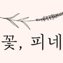 피네농장 이미지