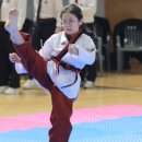 태권도장 채움 이미지