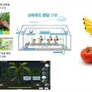 제이디유통 이미지