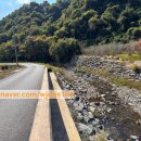 포포 스테이 이미지