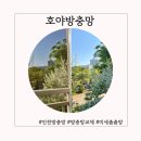 인천 루원시티 미세촘촘망 교체 후기 호야방충망