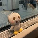 네일메이트원 | 0504-0505 1박2일 대전 망고시루여행 (성심당 망고시루, 한밭수목원, 대전 타슈, 대전시립미술관, 헬로...
