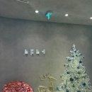 한남동제1경로당 | 용산 한남동피부과에서 고주파 리프팅 세르프 XERF 300샷 받은 후기 효과