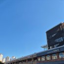 강남시장(3) | 강남 고속버스터미널 트리시장 방문 후기 크리스마스 분위기 화훼상가