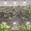 월은경로당 이미지