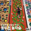 동두천 놀자숲 | 서울 서쪽 출발! 에너자이저 초등 남아 취향 저격 액티비티 가득한 곳 (내돈내산)