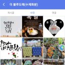더블루도예