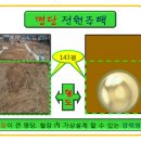 풍수지리(양택 / 주택) 이미지