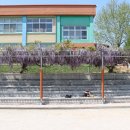 벌떼축산 이미지