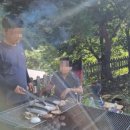 정희농박 이미지