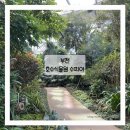 수피아 | 부천 아이와 함께 가볼만한 데이트코스 부천호수식물원 수피아 후기