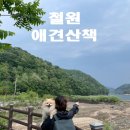 철원 잠곡저수지 애견 산책 후기, 강아지와 강원도 힐링 여행지 추천