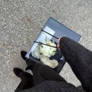 (11/18)젤캔들 홀더 & 티라이트 캔들 | 수원 결혼식 부케 말리기 선물 후바이리쎄 캔들 홀더 오브제 내돈내산 추천 후기