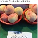유포테이블 네이버블로그