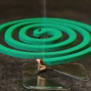 EU 금지 모기향 성분…환경부 재검증 결과 &#34;문제없다&#34; 이미지