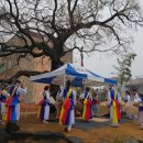 천왕메기 이미지