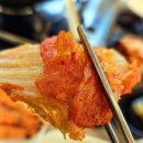 머구리 | 속초 현지인 대게 맛집 대포항 횟집 바가지 걱정 없는 머구리 횟집 솔직 후기