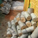 미류네 농장 이미지