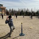 오치초등학교 이미지