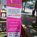 햇님타로카페