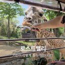 휴먼스카이밸리관리단 | 에버랜드 로스트밸리 방문후기 대기시간 명당자리는 어디?