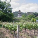 서부리 삼층석탑(西部里 三層石塔) 네이버블로그