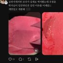 내가 태어난 그해 여름 (6월 하반)