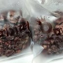 블루탐영농조합법인 이미지