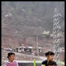 소달초교 이미지