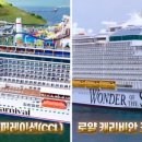 카니발코퍼레이션 이미지