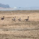 (주)영종레저 | 청라 하늘 대교 (영종도제3대교)