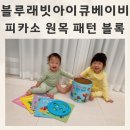 블루래빗 아이큐베이비 아기원목교구 피카소원목패턴블록 세트 후기
