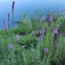 두륜산농장 이미지