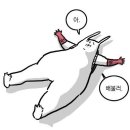 최강회포차 이미지