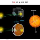 새가야약국 이미지