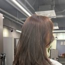 스타일하우스 퍼스트 파크점 네이버블로그