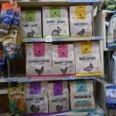 스티브앤스텔라 이미지