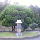 중앙교회 이미지