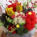 플로체 디자인 랩 이미지